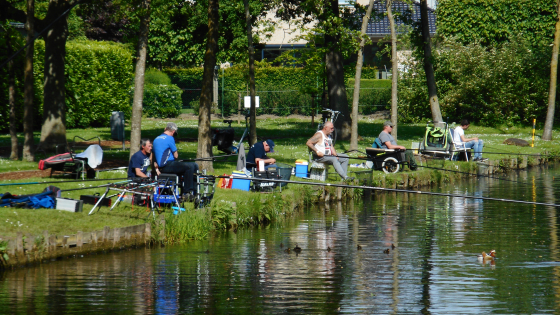 Visvijver domein Hernieuwenburg